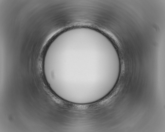 X0000112020878200908031040