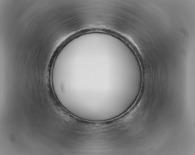 X0000112020879200908031040