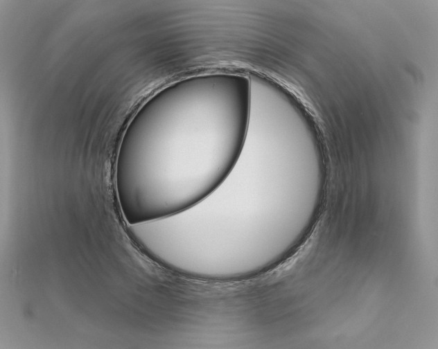 X0000112020881200908031039