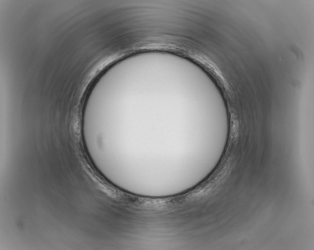 X0000112020882200908031039