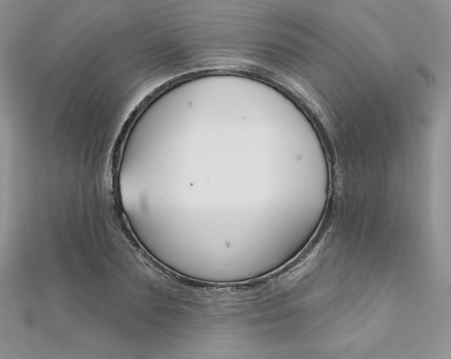 X0000112020883200908031039