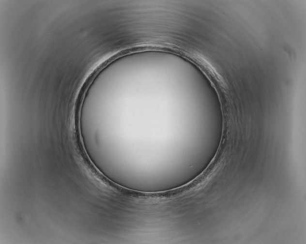 X0000112020884200908031039