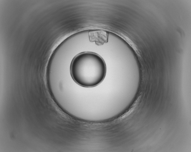 X0000112020885200908031039