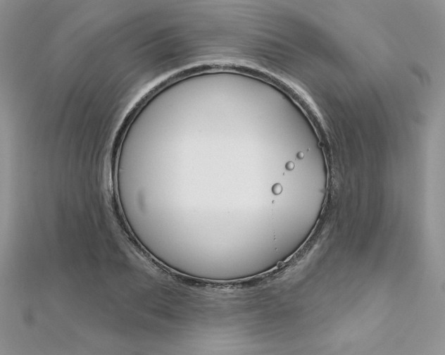 X0000112020887200908031039