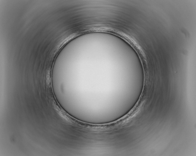 X0000112020889200908031039