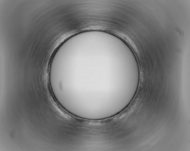 X0000112020890200908031039