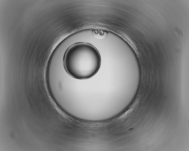 X0000112020893200908031039