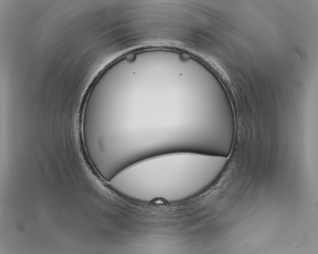 X0000112020895200908031039