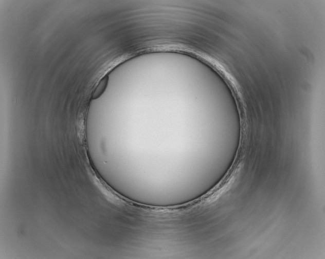 X0000112020897200908031039