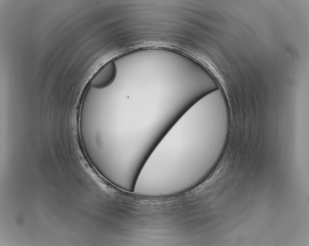 X0000112020898200908031039