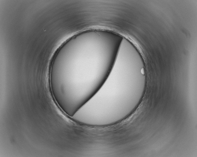 X0000112020902200908031039