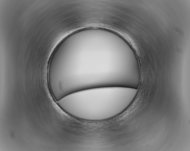 X0000112020903200908031039