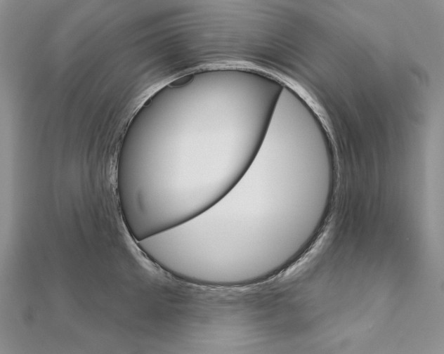 X0000112020905200908031039