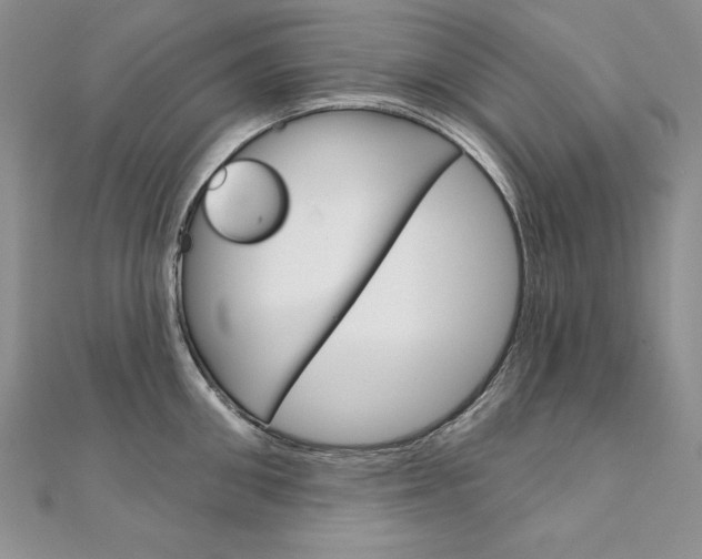 X0000112020906200908031039