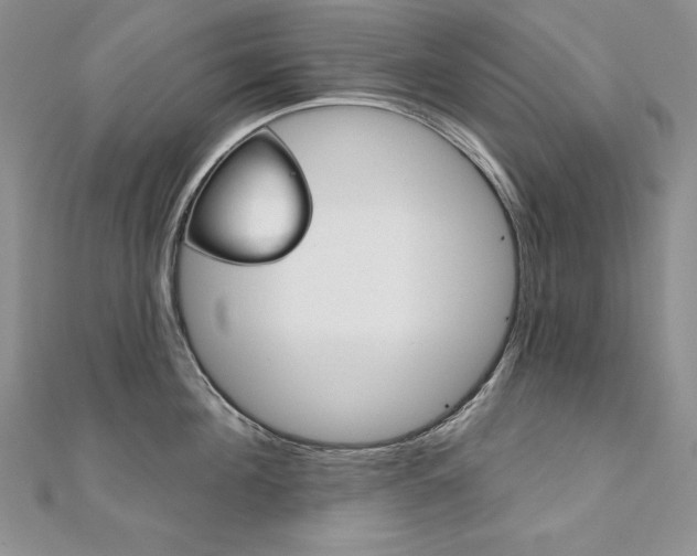 X0000112020908200908031039