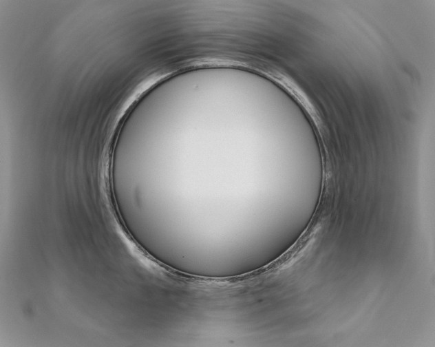 X0000112020909200908031039