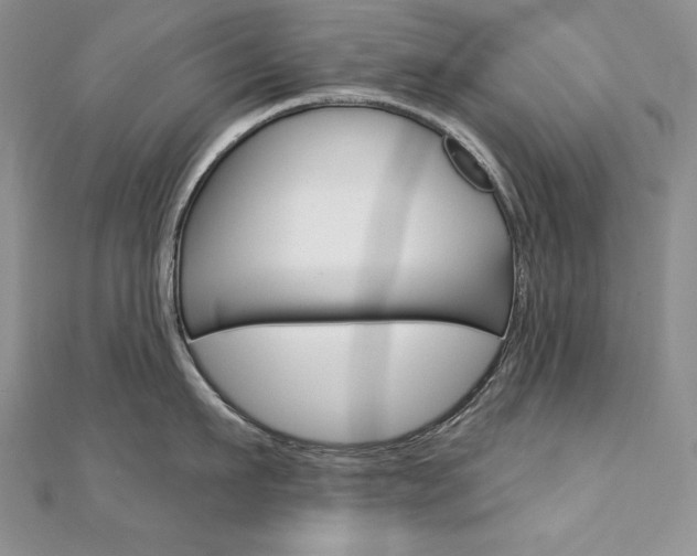 X0000112020911200908031039