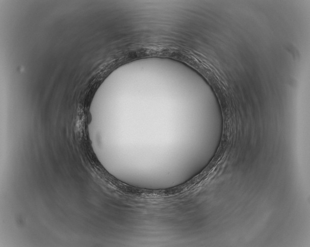 X0000112020914200908031038