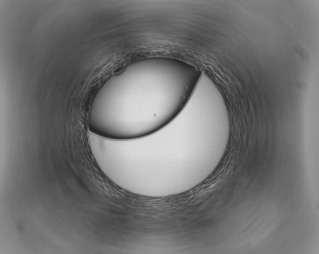 X0000112020916200908031039