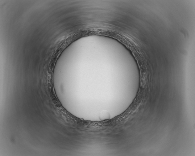 X0000112020917200908031039