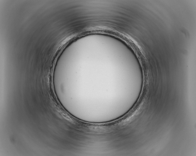 X0000112020921200908031039