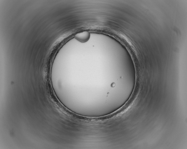 X0000112020922200908031039