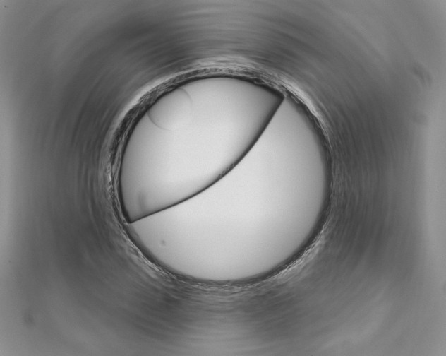 X0000112020923200908031039