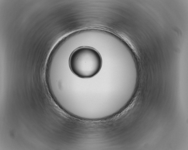 X0000112020924200908031039