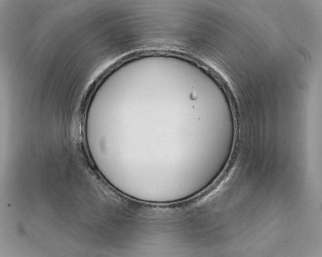 X0000112020925200908031039