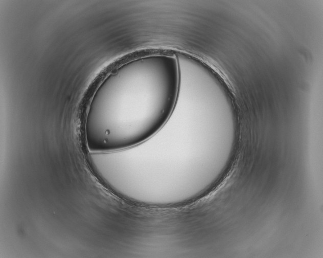 X0000112020926200908031039