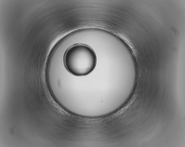 X0000112020928200908031039