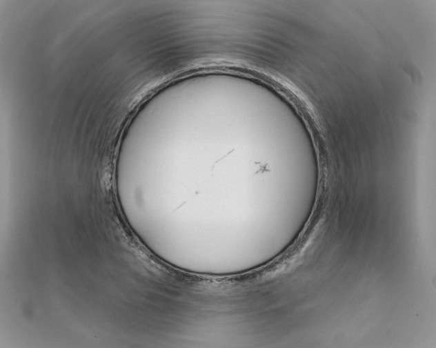 X0000112020929200908031039