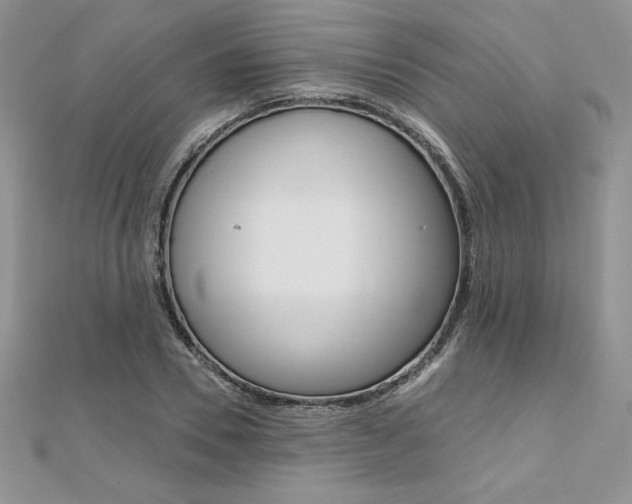 X0000112020930200908031039