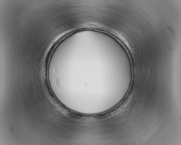 X0000112020931200908031039