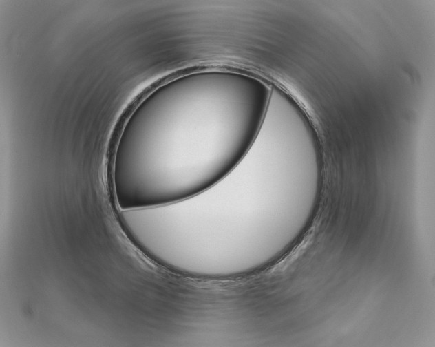 X0000112020932200908031039