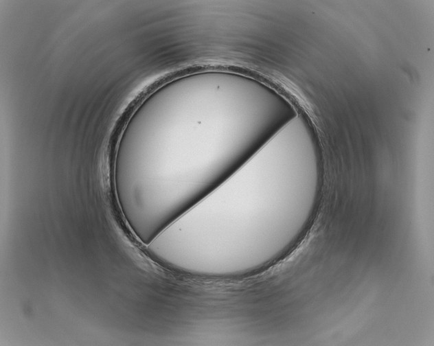 X0000112020934200908031039