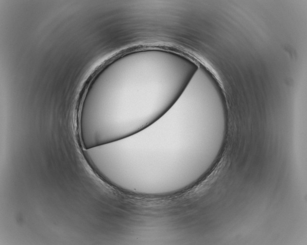 X0000112020935200908031039