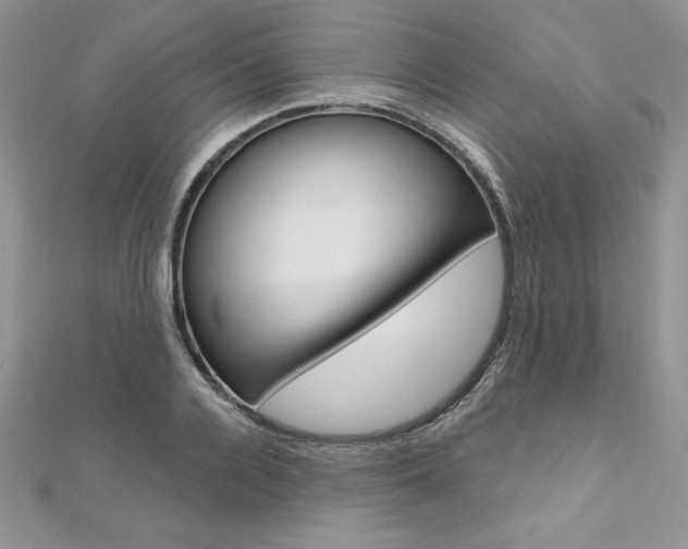 X0000112020936200908031039
