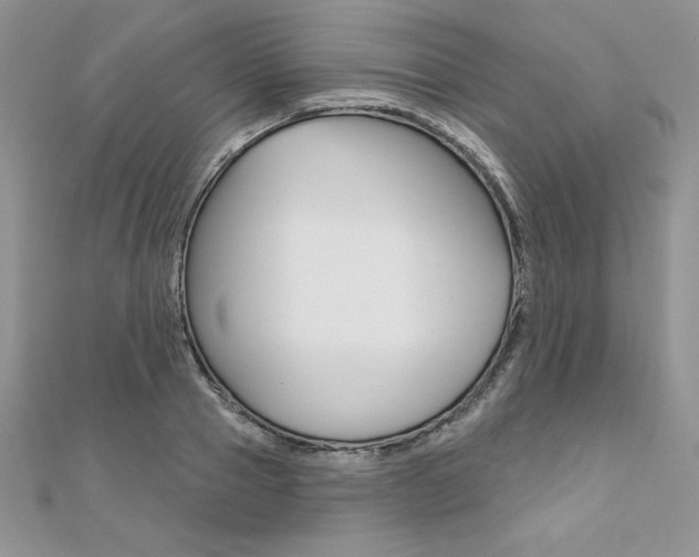 X0000112020937200908031039