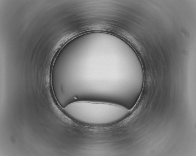 X0000112020938200908031039