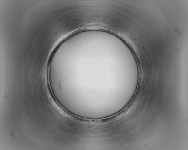 X0000112020941200908031039