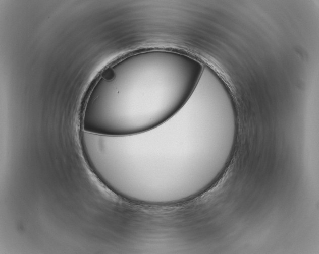 X0000112020942200908031039