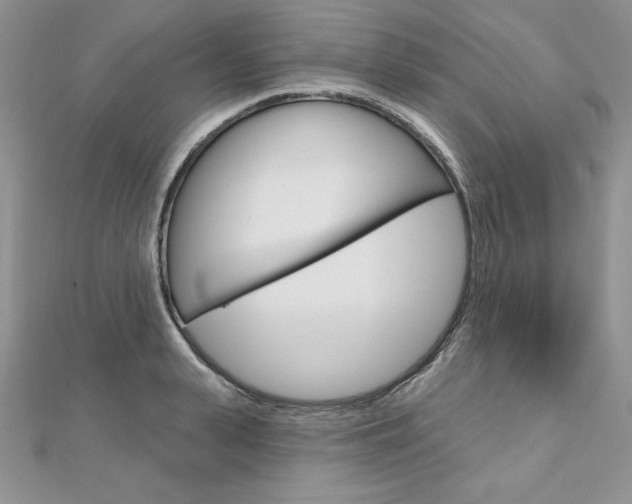X0000112020943200908031039