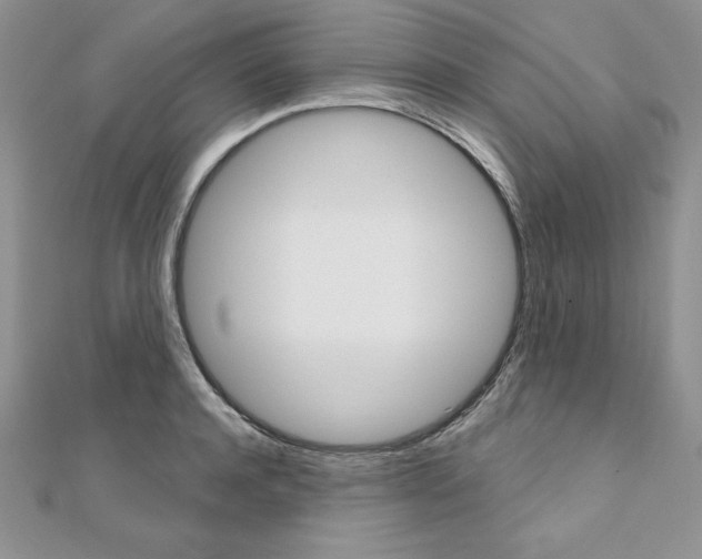 X0000112020944200908031039
