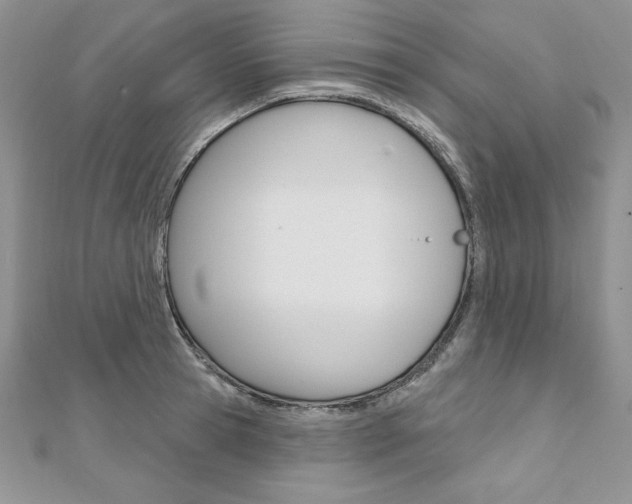 X0000112020945200908031039