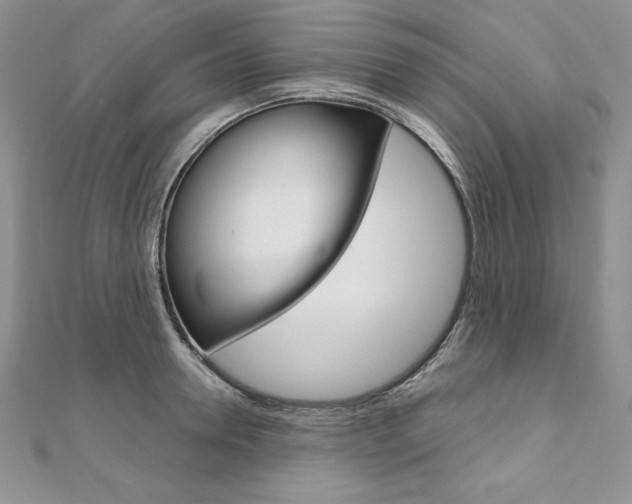 X0000112020946200908031039