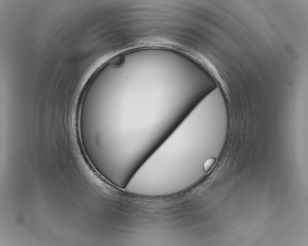 X0000112020947200908031039