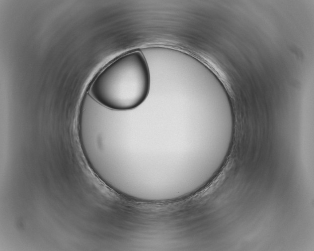 X0000112020948200908031039