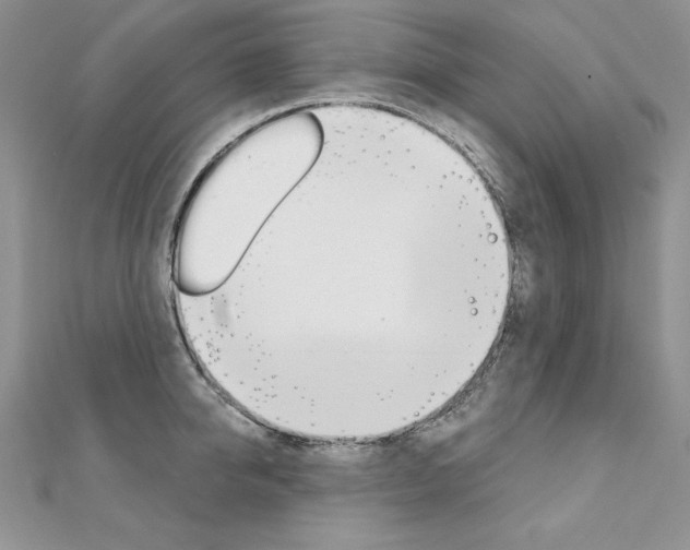 X0000112020950200908031039