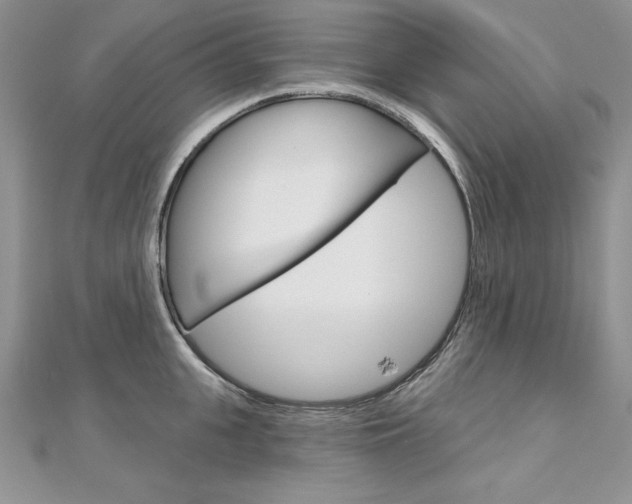 X0000112020951200908031039